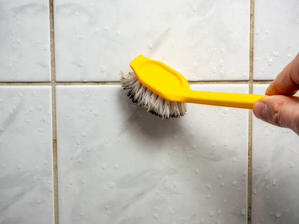 Best Professional Mold Removal  in Headland, AL