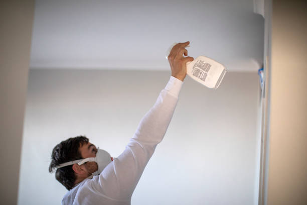 Best Local Mold Removal Service  in Headland, AL