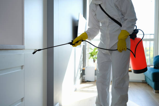Best Mold Remediation Services  in Headland, AL