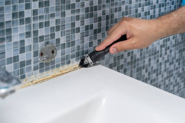 Best Mold Remediation  in Headland, AL
